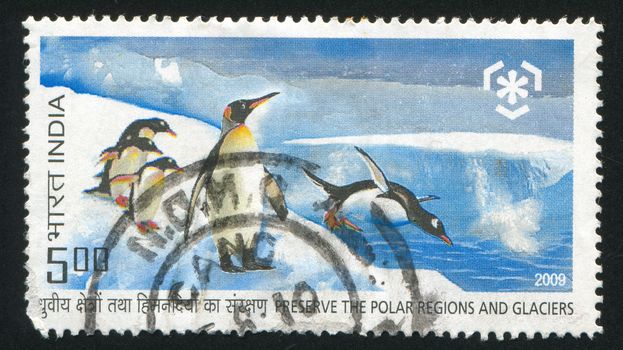 INDIA - CIRCA 2009: stamp printed by India, shows penguins, circa 2009