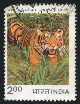 INDIA - CIRCA 1983: stamp printed by India, shows tiger, circa 1983