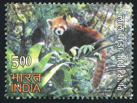 INDIA - CIRCA 2009: stamp printed by India, shows red panda, circa 2009