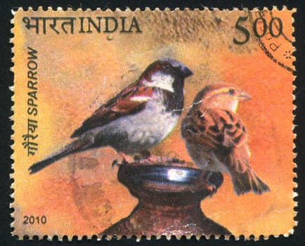 INDIA - CIRCA 2010: stamp printed by India, shows sparrow, circa 2010