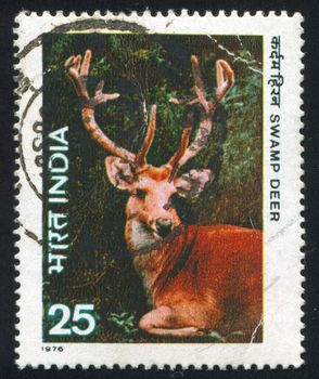 INDIA - CIRCA 1976: stamp printed by India, shows Deer, circa 1976