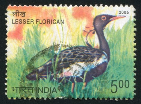 INDIA - CIRCA 2006: stamp printed by India, shows Lesser Florican, goose, circa 2006