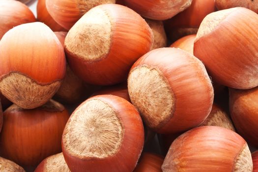 Heap of hazelnuts, filbert nuts making background