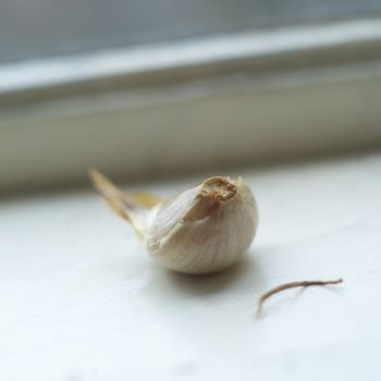 Close up of a Garlic