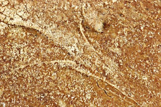 crust bread close up food background 