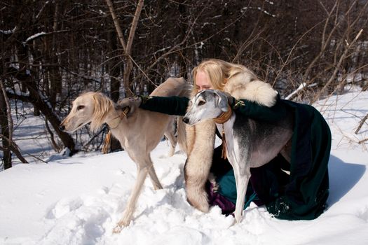 A blonde girl and grey and white salukies on snow
