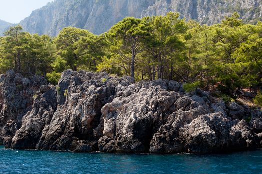 Wooded mountain and sea in Asia Minor
