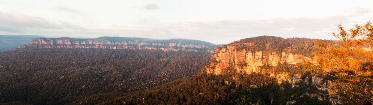Rising sun illuminates clouds and mist in the valley from Echo Point overlooking the majestic Blue Mountains near Sydney NSW Australia