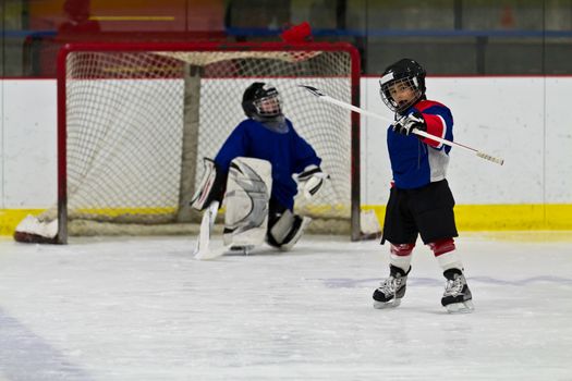 Ice hockey player celebrates after scoring a goal