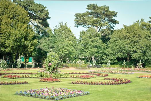 An english summer garden in full bloom