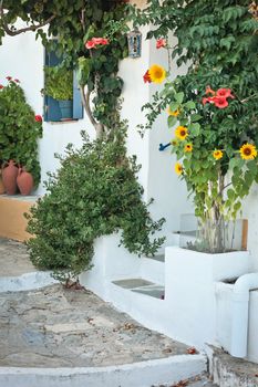 A traditional Greek house with flowers and shrubs outside