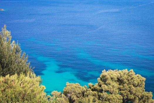 Pine trees and blue water in Greece