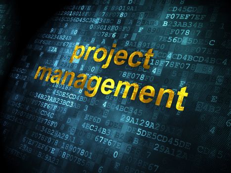 Business concept: pixelated words Project Management on digital background, 3d render