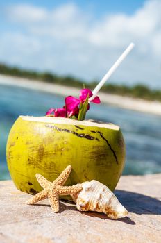 Coconut with drinking straw on a palm tree at the sea