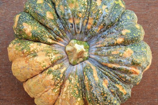 Close-up of pumpkin