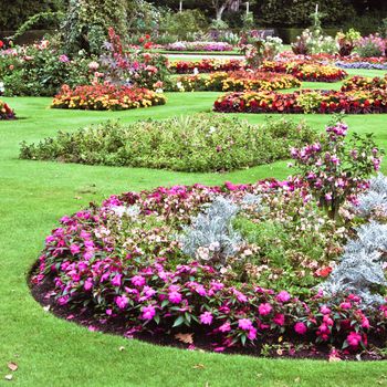 An english country garden in full summer bloom