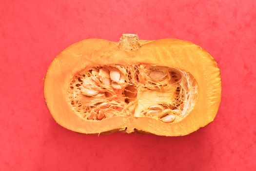 Slice of a squash on a red background