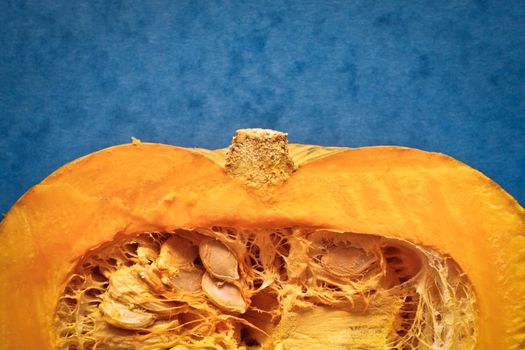 Slice of a squash on a blue background