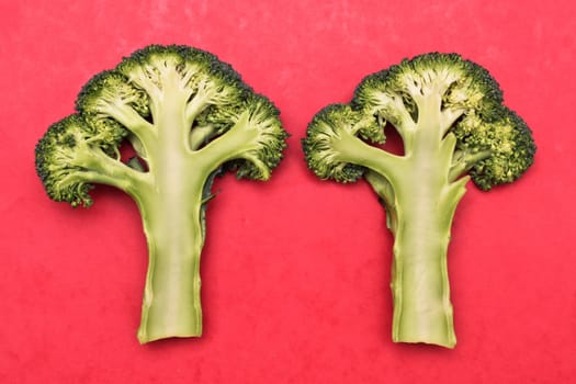 Slices of broccoli on a red background
