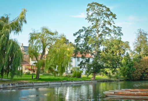 Houses and trees by the river Cam in Cambridge