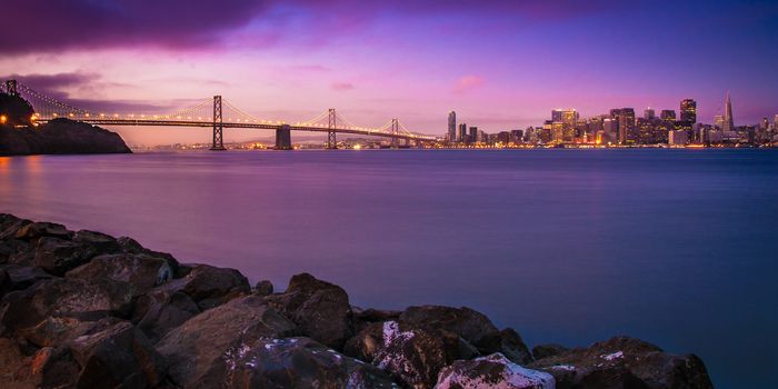 Suspension bridge across a bay, Bay Bridge, San Francisco Bay, San Francisco, California, USA