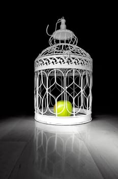 Apple in a cage and dark background
