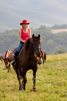 Woman in red hat sitting on a horse next are other horses