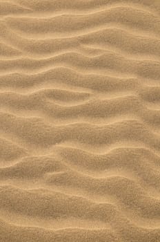 Texture Sand Dune Desert in Gran Canaria Island Spain