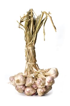 Garlic isolated on white background