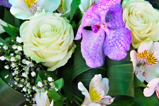 Bunch of different flowers close up background