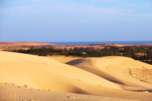 Oasis in desert landscape under bluy sky at sunny day