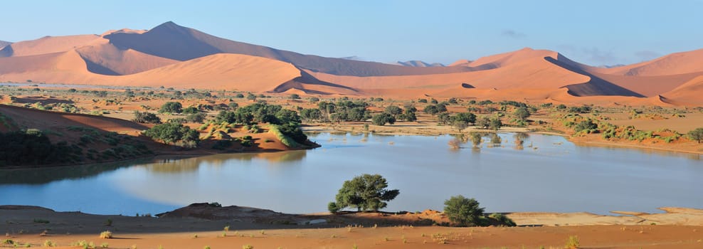 Panorama from four photos showing Deadvlei and Sossusvlei