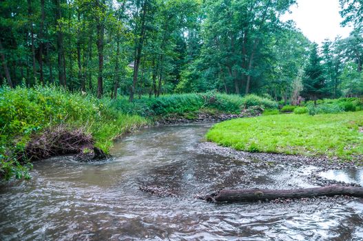 River flows through the natural green forest