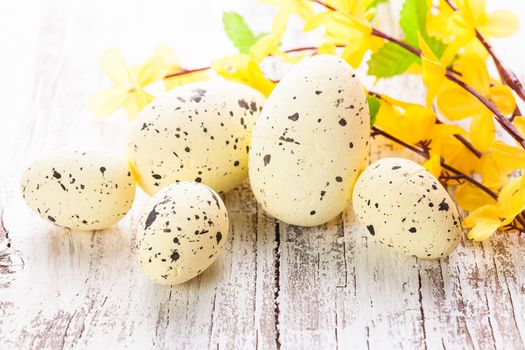 Yellow spotted eggs with forsythia flowers on the shabby wooden table