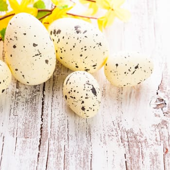 Yellow spotted eggs with forsythia flowers on the shabby wooden table