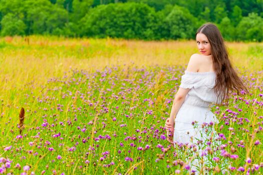 girl with long hair in a field with purple flowers