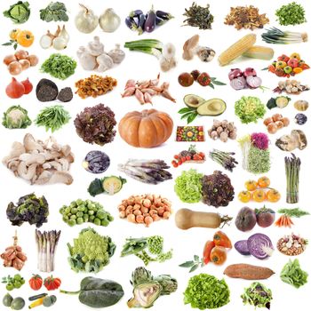 group of vegetables in front of white background