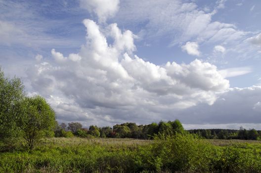  Landscape with low clouds and a green meadow with trees