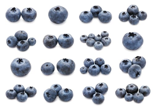 Collection of fresh blueberry or bilberry  isolated on white background