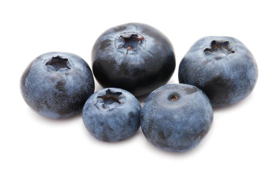 Fresh blueberry or bilberry  isolated on white background