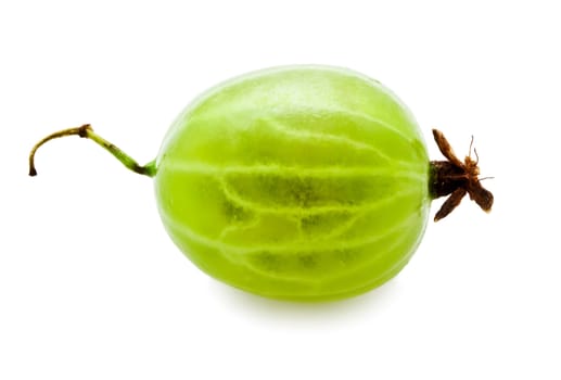 Fresh green gooseberry isolated on white background