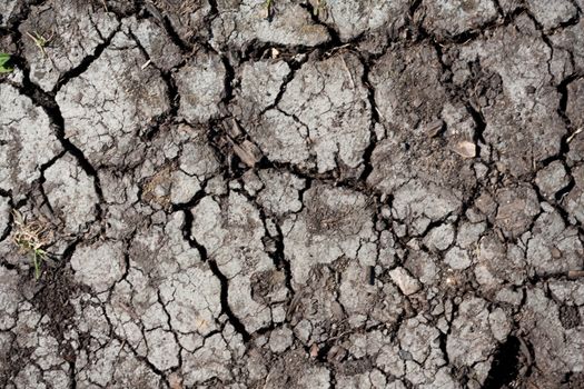 Land with dry cracked ground texture background