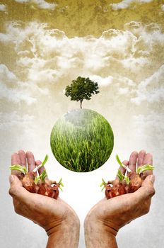 Help the earth by planting tree concept