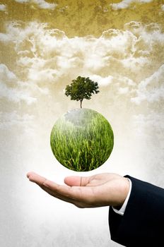 Green business care the earth concept