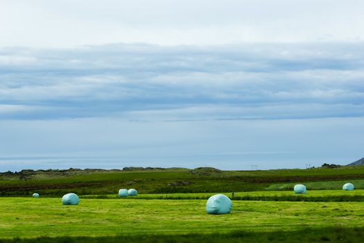 Icelandic Rural Landscape. Hay bales in white plastic on the meadow.