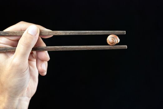 Close-up of a hand holding an empty snail shell using chopsticks.