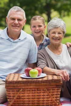 Portrait of a smiling senior couple and granddaughter sitting with picnic basket at the park