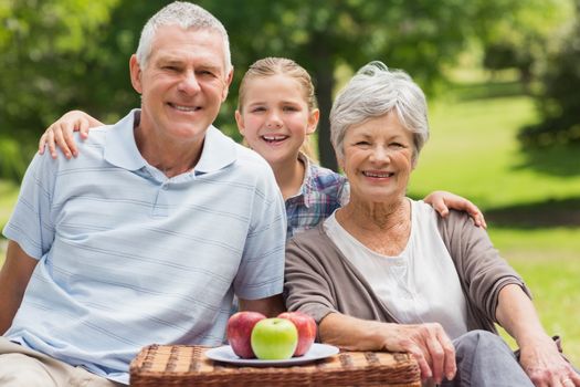 Portrait of a smiling senior couple and granddaughter sitting with picnic basket at the park