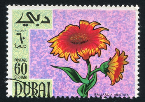 DUBAI - CIRCA 1969: stamp printed by Dubai, shows flower, circa 1969