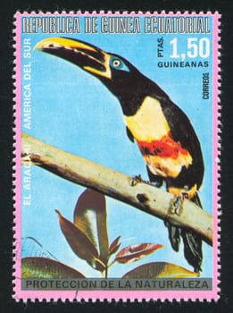 EQUATORIAL GUINEA - CIRCA 1980:  stamp printed by Equatorial Guinea, shows tropical bird, circa 1980.